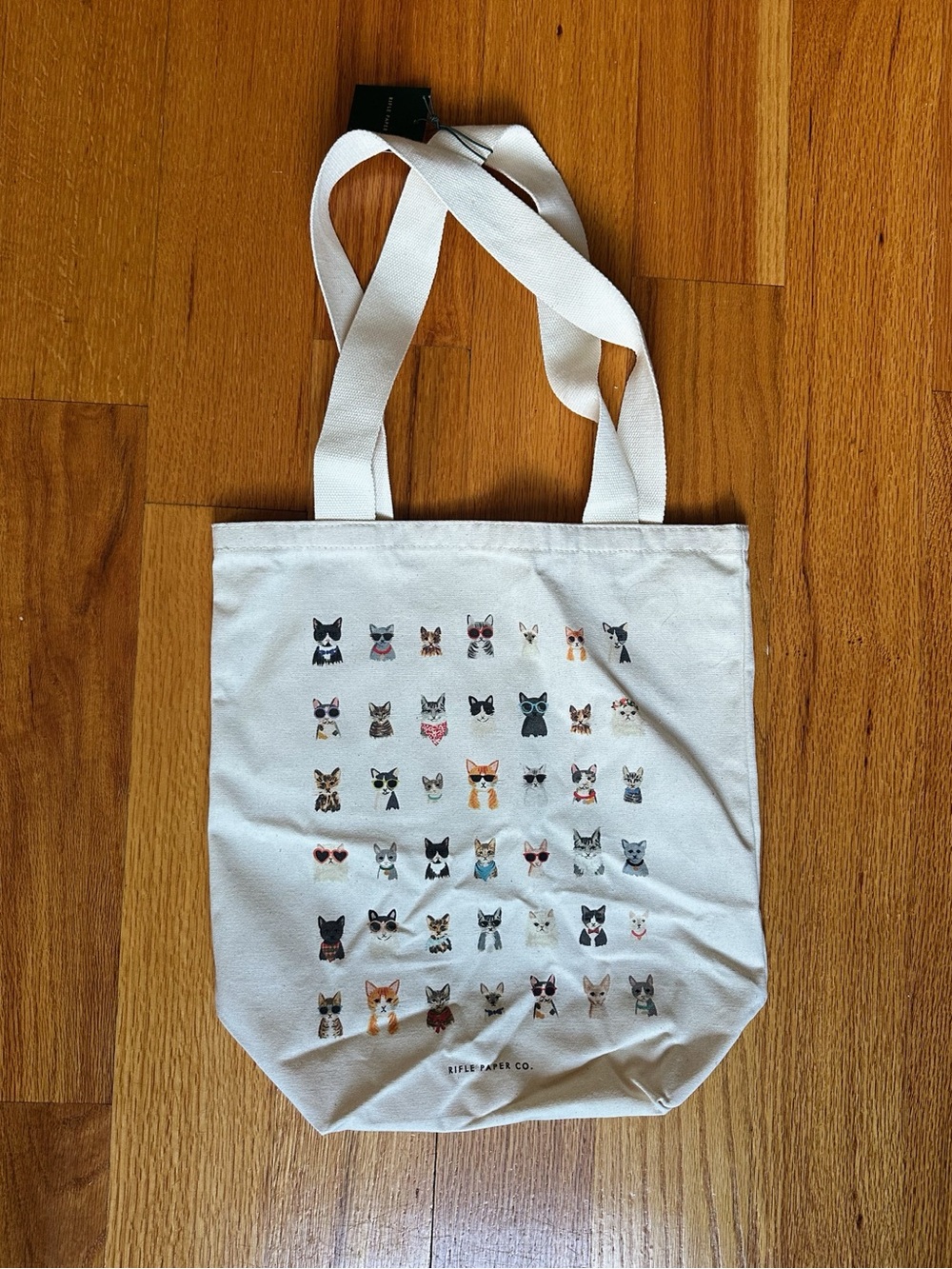 NWT / Rifle Paper Co. / Dog Days Tote Bag
